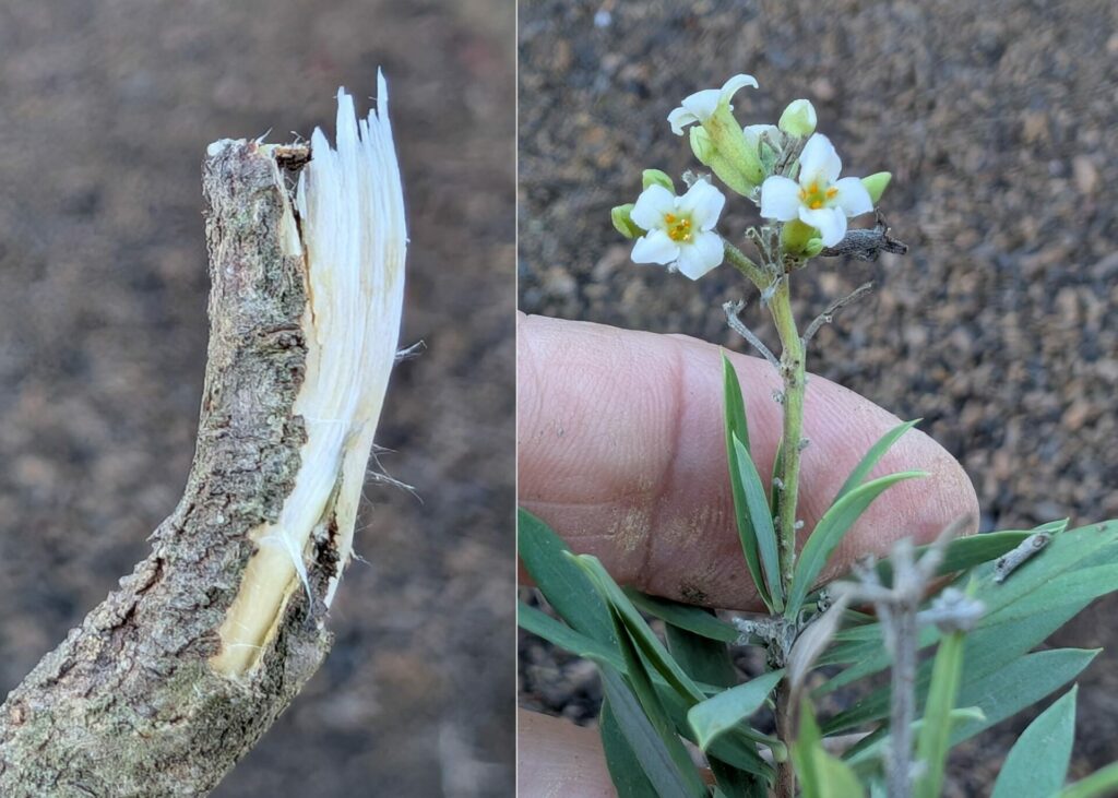 Voyage au Maroc, J2 (23 nov. 25)