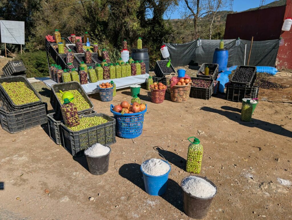 Voyage au Maroc, J1 (22 nov. 25)