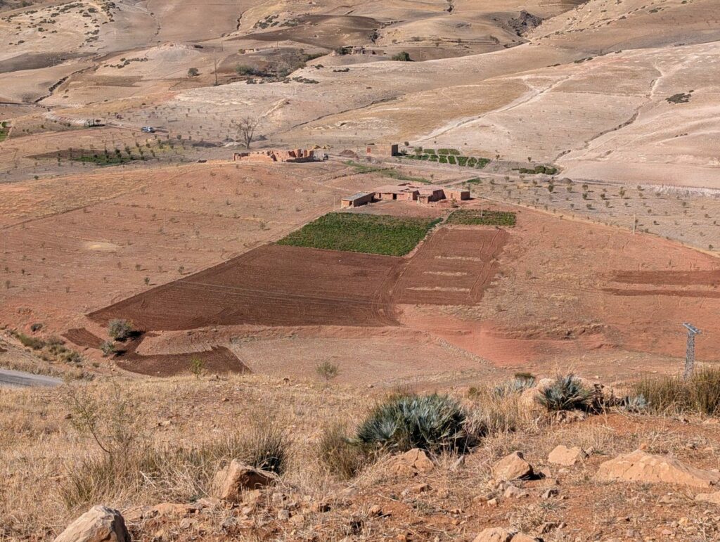 Voyage au Maroc, J4 (25 nov. 25)
