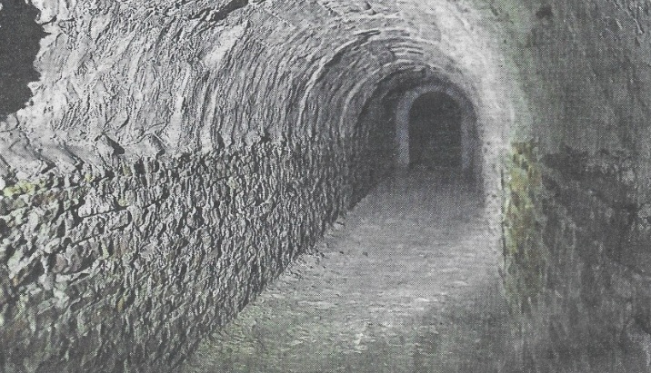 Article du JSL du 15 Avril 2026 :les arrêtes de poisson de LYON.